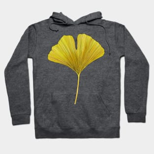 Yellow ginkgo leaf Hoodie